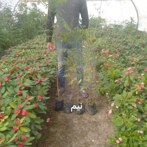 WhatsApp Image 2024 01 26 at 13.14.44 3ad3978d.jpg