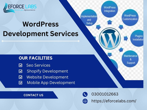 WordPress Development Services.jpg
