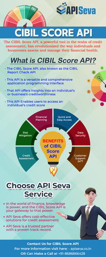 API Seva Provide Cibil Score Check API at a Best Price.jpg