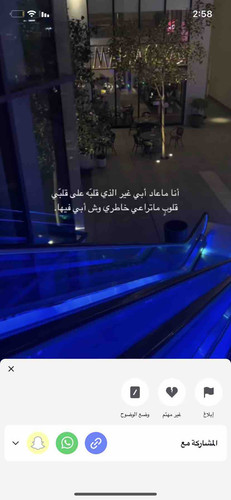 C9116C26 DC1C 4C89 A0C7 9CBD7E513B05.jpg