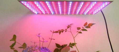 post led n3ytphhm0laiqsjg2tnsu00gv16zemfvruyay5uung.jpg