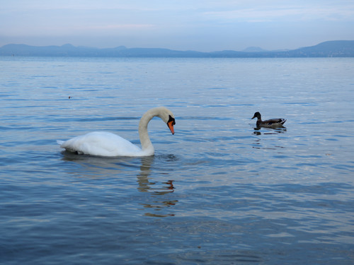 AGC 20230930 084515846.jpg