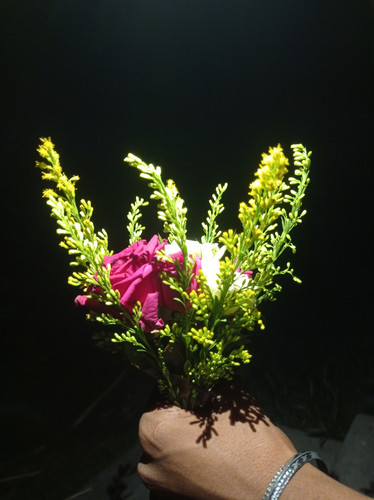 IMG 20220925 210101.jpg