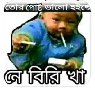 GV3efmsvZdsPouvrvuQguWtEudV.webp