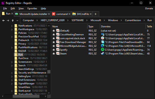regedix screen 1 dark.png