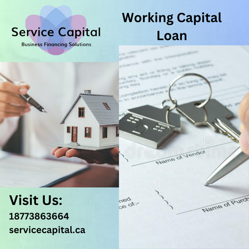 Working Capital Loan (1).png