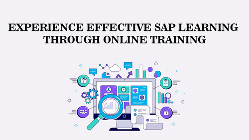 Experience Effective SAP Learning through Online Training.png