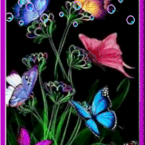 Mayleen 17 02 010 23.gif