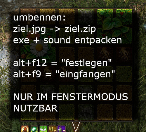 ziel.jpg