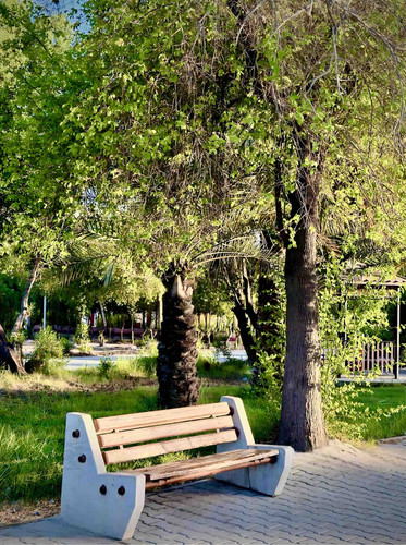 BBE32611 0153 4DEF B1F3 E87F31EBA445.jpg