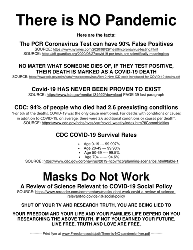 There is NO pandemic flyer 1.png