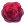 IMG 5786.png