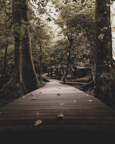 indonesia cisarua taman wisata alam telaga warna.jpg