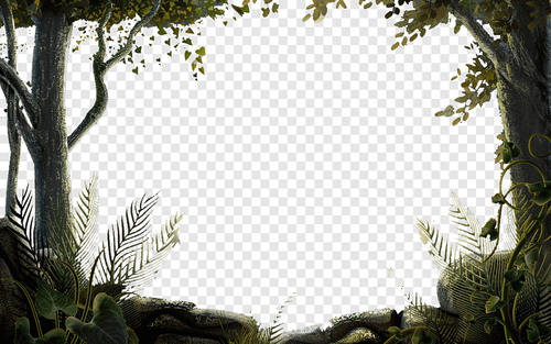 png transparent nature hd forest illustration presentation pretty grass.png