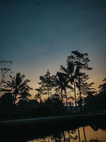 pemandangan.webp