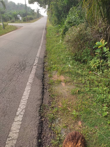 stg hilir.jpg