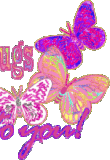 oie overlay (2).gif