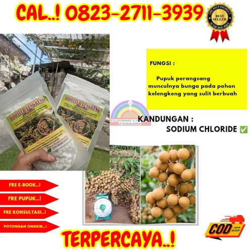 HARGA GROSIR! H.Tovix CALL 0823-2711-3939 Jual Pupuk Kelengkeng Cepat Buah ke Kebumen-Adimulyo-Bonjo.jpg