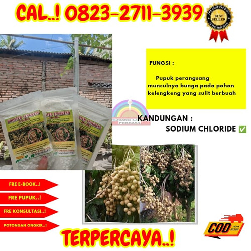 TERPERCAYA! H.Tovix CALL 0823-2711-3939 Jual Pupuk Kelengkeng Merah ke Kebumen-Adimulyo-Caruban.jpg