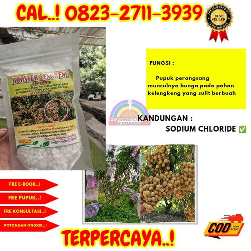 BISA COD! H.Tovix CALL 0823-2711-3939 Jual Pupuk Kelengkeng Matalada ke Kebumen-Adimulyo-Candiwulan.jpg