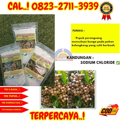 100% GARANSI! H.Tovix CALL 0823-2711-3939 Jual Pupuk Kelengkeng Supaya Cepat Berbuah ke Kebumen-Adim.jpg