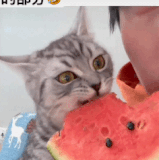 SmartSelect 20230930 122709 Opera.gif