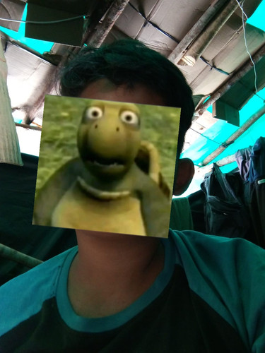 image.jpg
