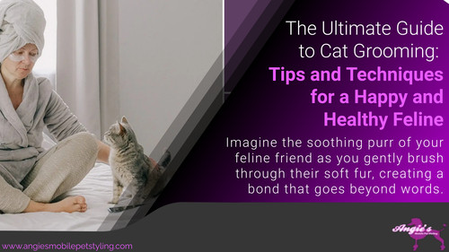 The Ultimate Guide to Cat Grooming Tips and Techniques for a Happy and Healthy Feline.jpg