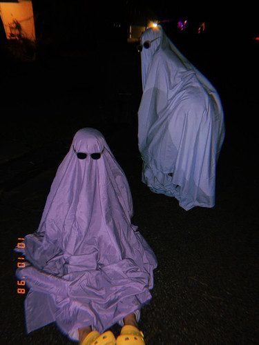 IMG 7359