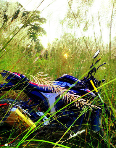 IMG 20231002 151137.jpg