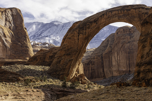 50936165101 becb659e9d.jpg