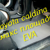 f0228713a45a43026d1c399fe3220121
