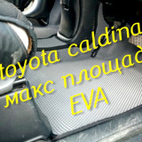 ac9afd3b6a91955b647829c456a7b856