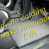 9f302fb61a10b553e46a39866fc7689f