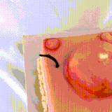 tort.gif