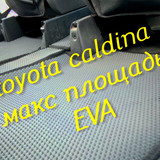 e8e01182f7d9139c25e29e0c44ba1b88