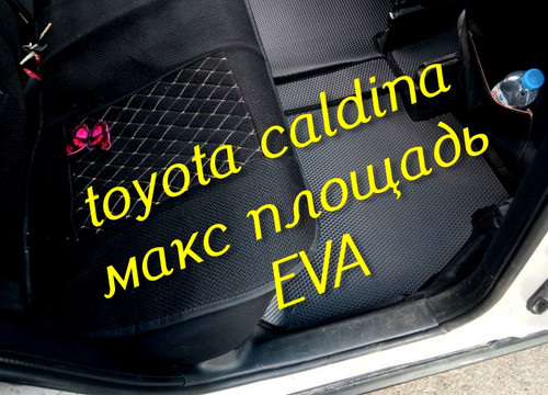 3420d513392e03ea663951e6080ebd12.jpg