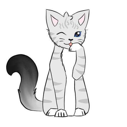 IMG 5267.png