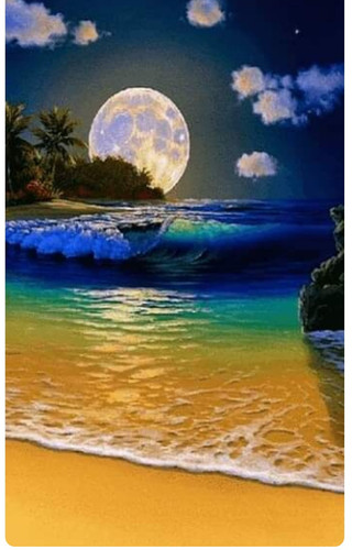 IMG ٢٠٢٣٠٤٢٧ ٠٨٢١٢٥.jpg