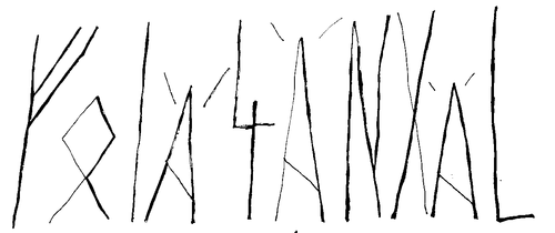 foyä4änxäl.png