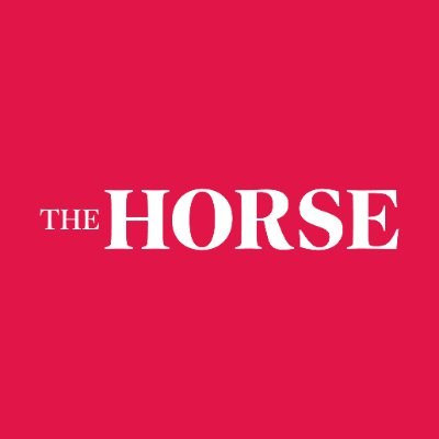 The Horse.jpg