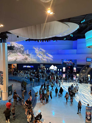 img 1778 optimized(1).jpg