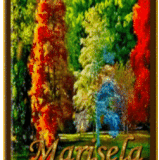 Foro San Francisco.gif