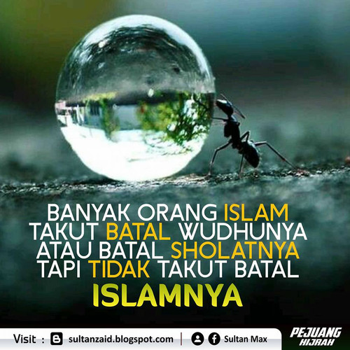 40157804 2107301569588823 1881851134902009856 n.jpg