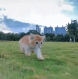 doc547938590 667777034?hash=L7MjdM6NJd1rCn3cTgHPfjVnX3vPX5FBMya0resZDLX&dl=99Y87AGqSUnhMUy0K08g9HQfU.gif