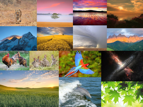 ' Glorified is The Mighty Creator '.jpg