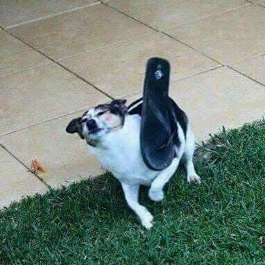369305501 1467795313980787 2551645439284429959 n.jpg