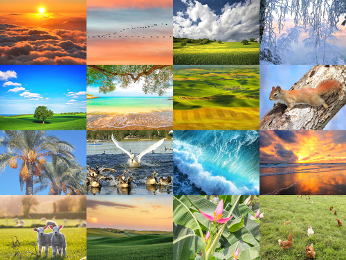 ' Glorified is The Mighty Creator '.jpg