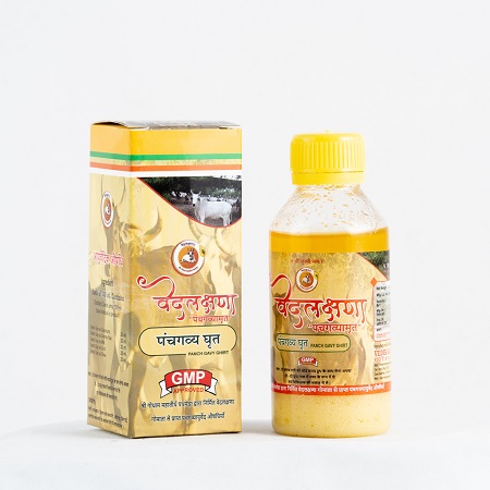 Pathmeda Goshala Initiatives which Empowering Communities through Cow Care.jpg