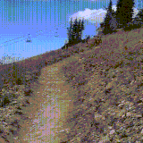 velo.gif